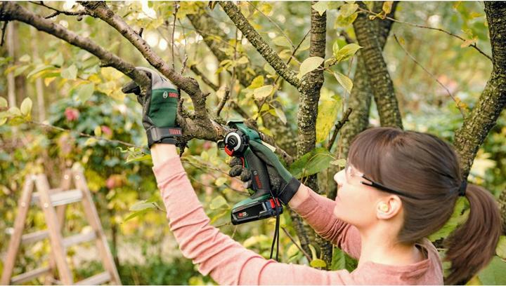 Actual product image Bosch Home & Garden AdvancedCut 18