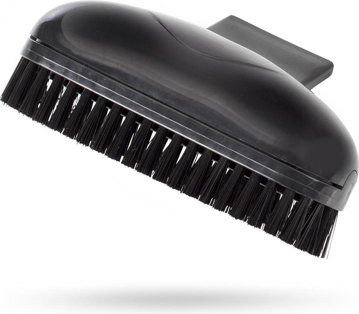 Actual product image Princess Turbo Tiger