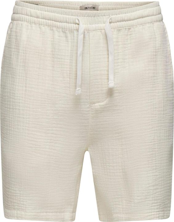 Only & Sons ONSTEL-PAS Normal geschnitten Shorts Shorts
