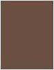 Produktbild Rimmel London Wonder'Freeze Brow Lamination Gel (Medium Brown)