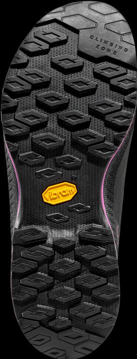 Produktbild La Sportiva TX4 Evo Mid Woman GTX (38)