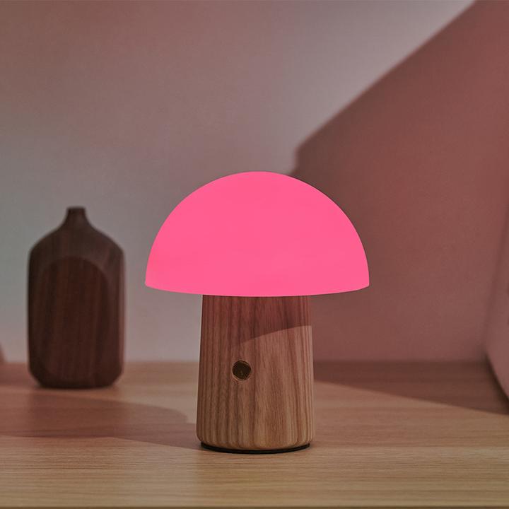 Image du produit Gingko Alice