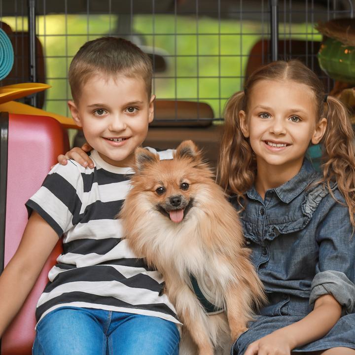Produktbild Relaxdays Hundegitter (Hund, Faltbar, Sicherheitsverschluss)