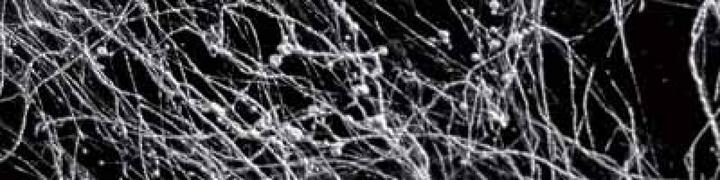 Actual product image Dupli-Color Marble Spray (Silver, 0.20 l)