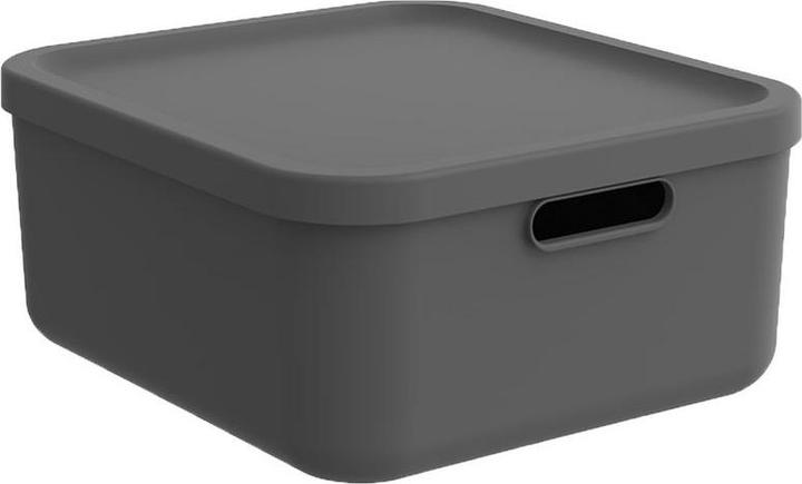 Actual product image Rotho Albula (39.5 x 35.5 x 18 cm, 20 l)