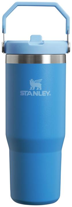 Stanley 1913 Il bicchiere IceFlow Flip Straw (0.89 l)