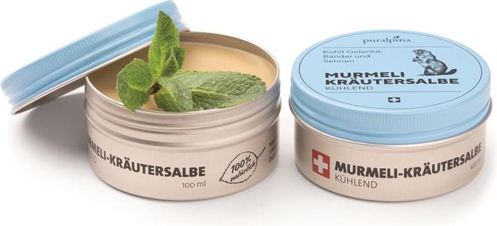 Actual product image Puralpina Murmeli Herbal Ointment (1 x, 100 ml, 110 g)