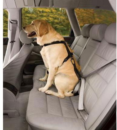 Immagine prodotto Kurgo Tru-Fit (L, Cane, Generale)