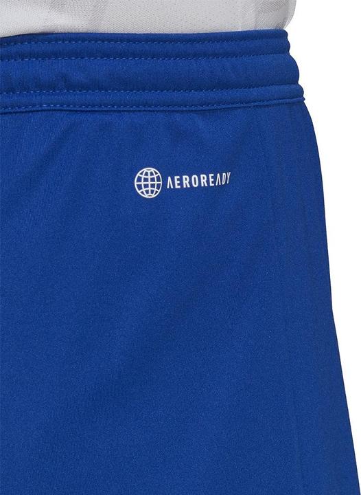 Actual product image adidas Entrada 22 Shorts Men (M)