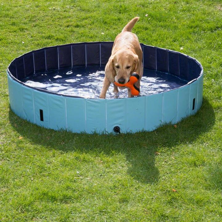 Produktbild Pawise Hundepool (Hundepool)