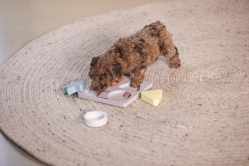 Actual product image Beeztees Puppy braingame Lot (Intelligence toy dog)