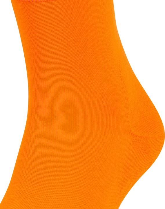 Immagine prodotto Falke Run SO (Confezione singola, 42 - 43)