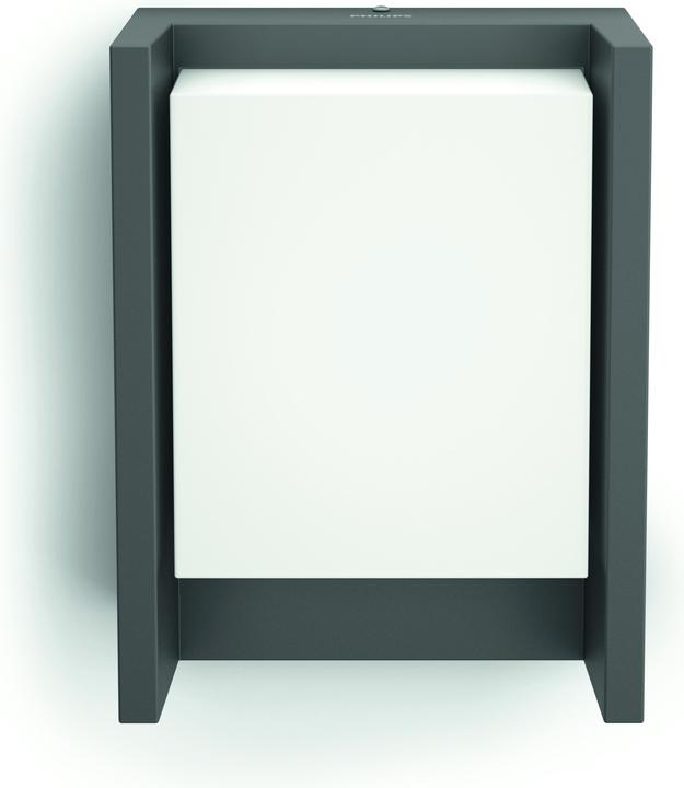 Actual product image Philips Arbour (600 lm)