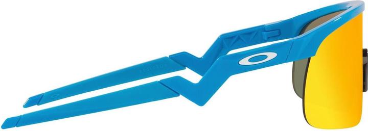 Actual product image Oakley Resistor (Blue, prizm ruby)