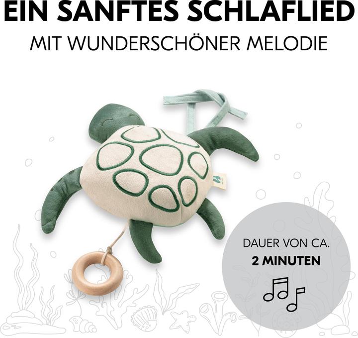 Actual product image Hauck Cuddle N Sleep Turtle
