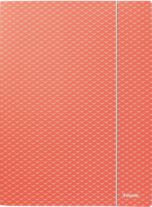 Image du produit Esselte Chemise à rabats Colour'Breeze (A4, 1 x)