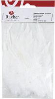 Produktbild Rayher Trendyfeder, weiss, 2 g