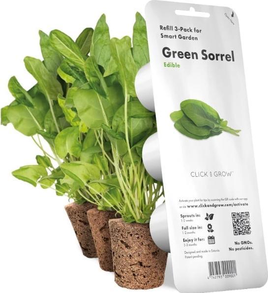 Actual product image Click and Grow Sorrel (Herb seeds)