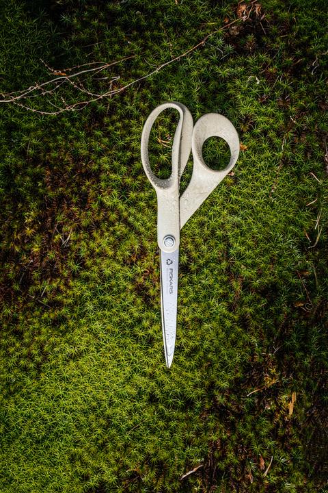 Image du produit Fiskars Ciseaux recyclés 21cm (21 cm)