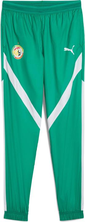 Actual product image Puma prematch trackuit trouer énégal 2024 (S)