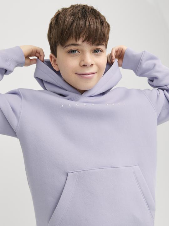 Actual product image Jack & Jones Jjestar Jj Sweat Hood Noos Jnr (128)