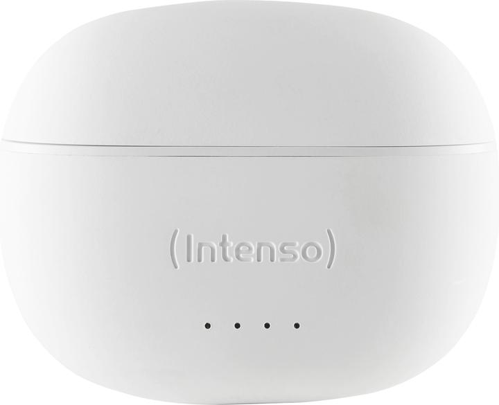 Image du produit Intenso Bourgeons blancs T302A (ANC, 2 h, Filaire)