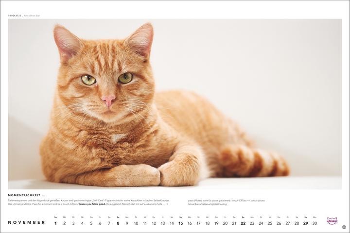Produktbild Whiskas Katzenkalender 2026 (45 x 30 cm, Harter Einband, Deutsch)