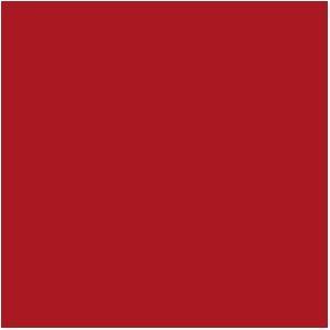Actual product image Hammerite Metal protective lacquer high gloss (250 ml, Red)