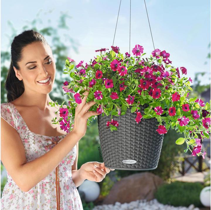 Actual product image Lechuza Nido Cottage (27 cm)