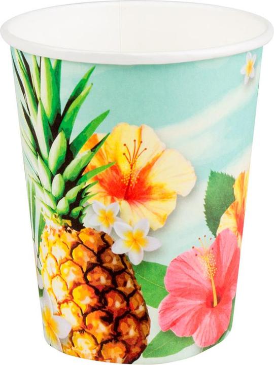 Image du produit Boland 10 gobelets en papier Paradise Hawaii 210ml (10 x)