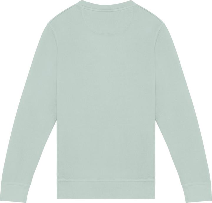 Native Spirit Sweatshirt (XL)