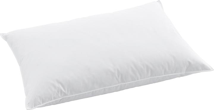 Swiss Dream by billerbeck Clima Soft Pillow Classic 90