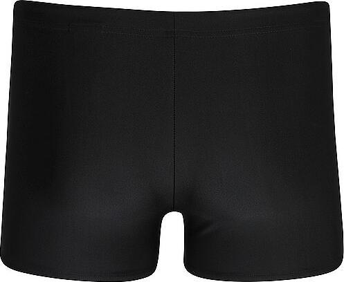Actual product image Speedo Medley Logo Aquashort (34)