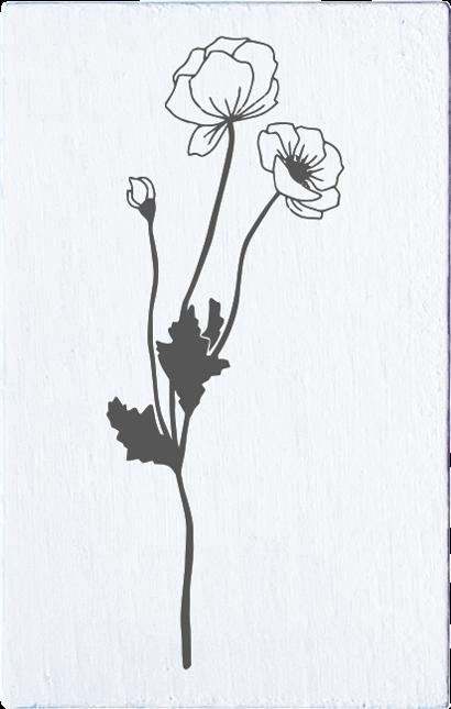 Immagine prodotto May & Berry M&B Poppy