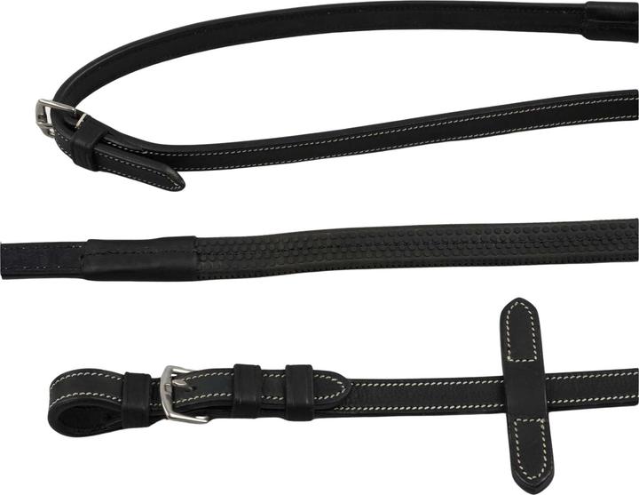 Premier Equine Veneto