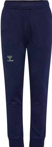 Actual product image hummel Hmlstaltic Cotton Pants Kids (176)