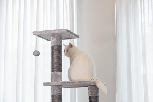 Image du produit Beeztees Arbre à chat Bz Figado (135 cm, Grey)