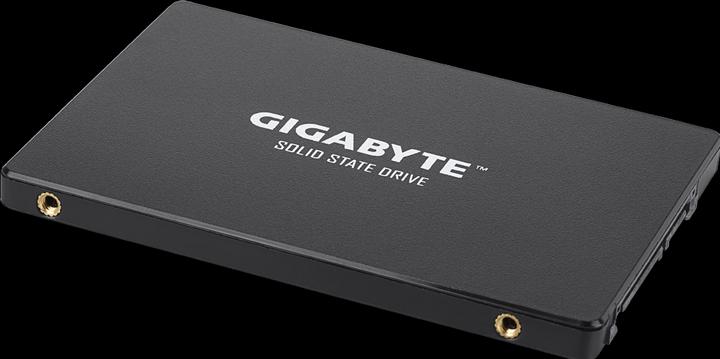 Image du produit Gigabyte GP-GSTFS31256GTND (256 Go, 2.5")