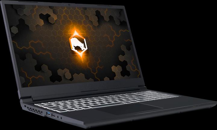 Image du produit Joule Performance ARGOS 15 RTX3060 I7 (15.60", Intel Core i7, 16 Go, DE)