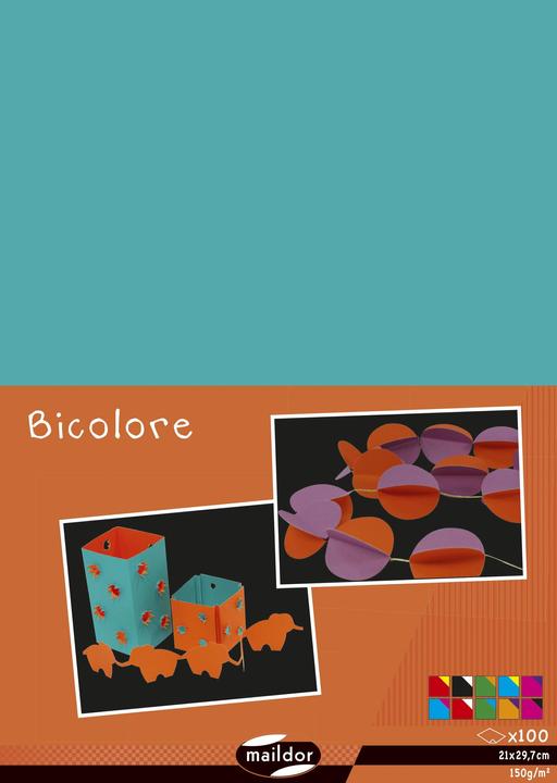 Actual product image Clairefontaine Paper Bi-Color (150 g/m², 100 x)