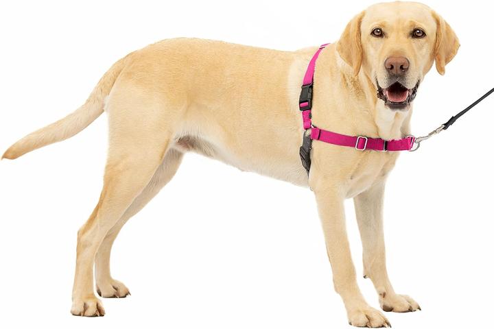 Produktbild PetSafe Easy Walk Geschirr (L, Hund, Allgemein)