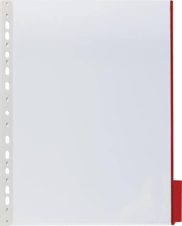 Actual product image Durable Display board FUNCTION Use for paper size: DIN A4 Material: Hard PVC (A4)
