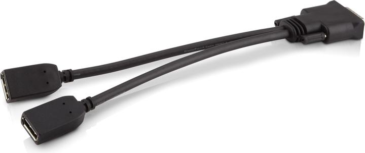 HP DMS59 to (0.30 m, DisplayPort)