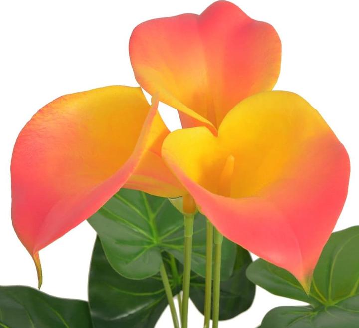 Actual product image VidaXL Rhonda (45 cm)