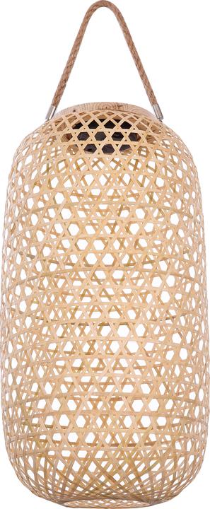 Actual product image Globo Bamboo (IP44)