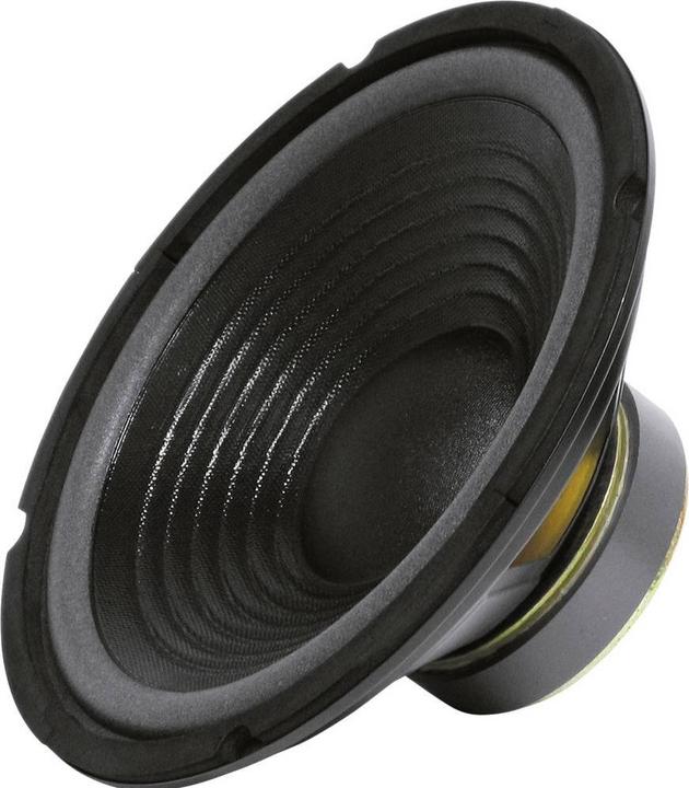 Sintron Subwoofer MHB vuoto 250 mm 8 Ohm MHB 10 (1 pz.)