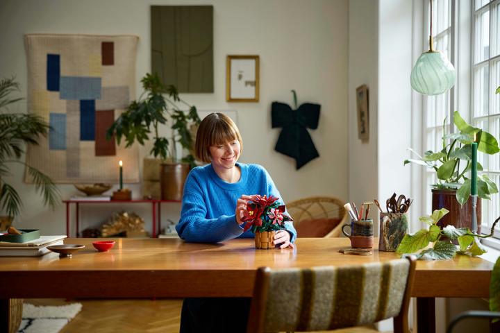 Productafbeelding LEGO Kerstster (10370, LEGO Icons)
