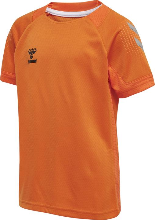 Orange tiger