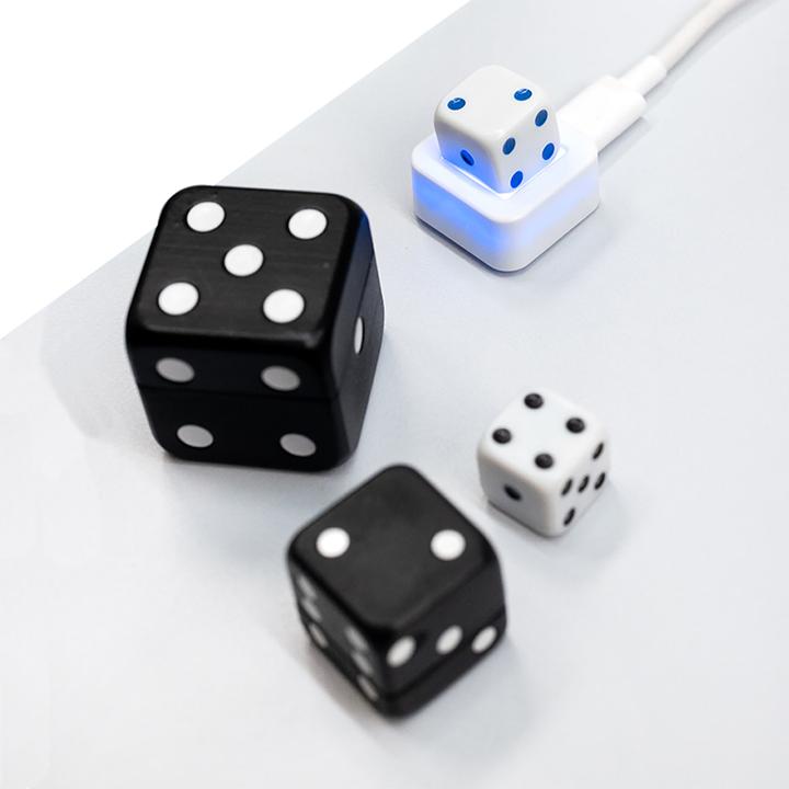 Produktbild Bobo Balance Trainingstool Dice