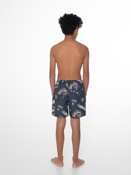 Actual product image Protest Swim shorts Prtharris (164)